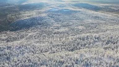 冬季带针叶林高地的俯视图.. 录像。 白雪覆盖的茂密针叶林的美丽全景